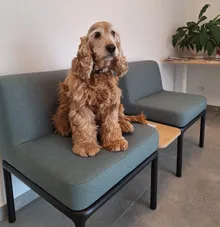 Burau -Simone- Photo 1- bis