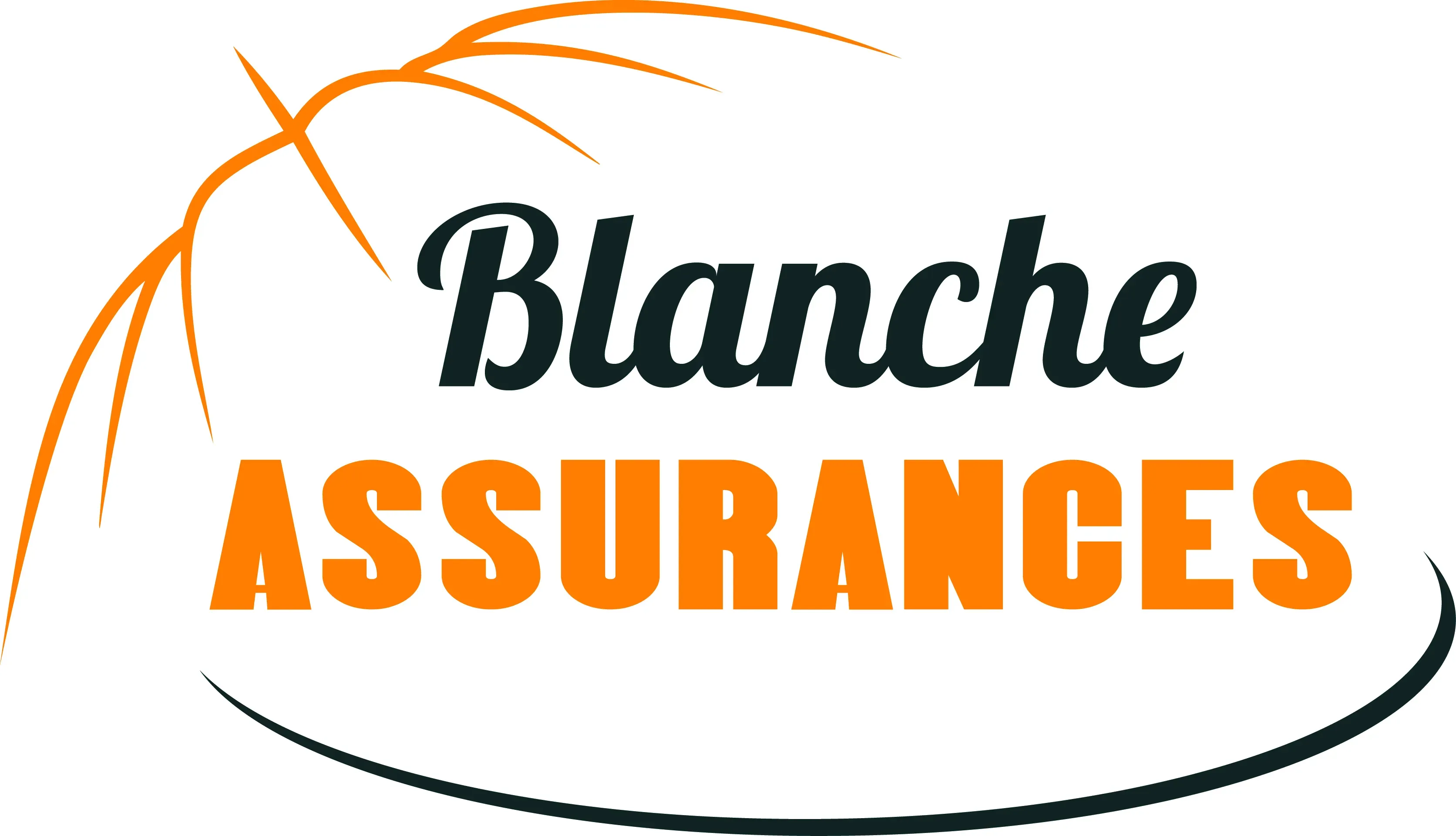 BLANCHE ASSURANCES