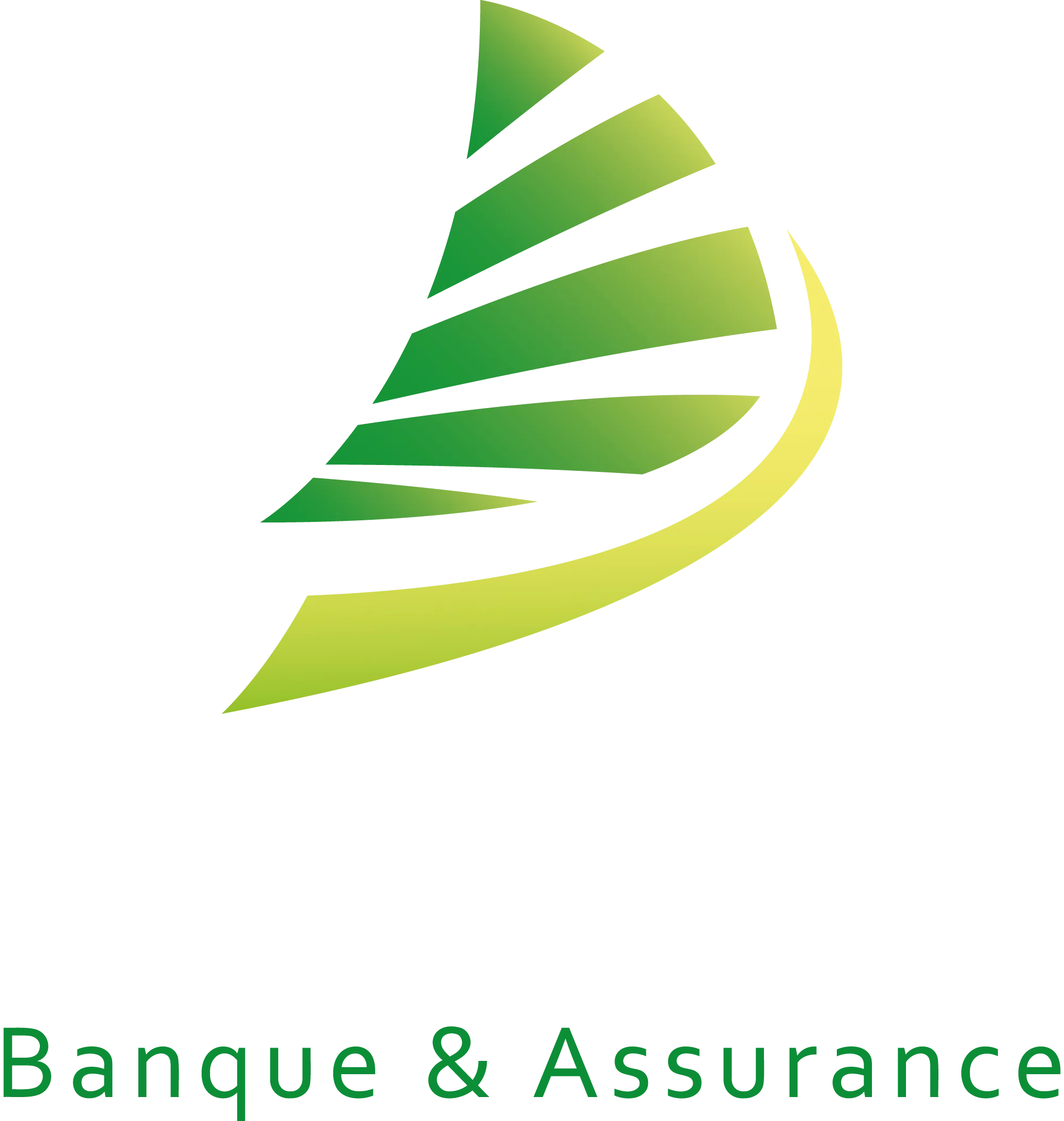 CAMIRE SRL