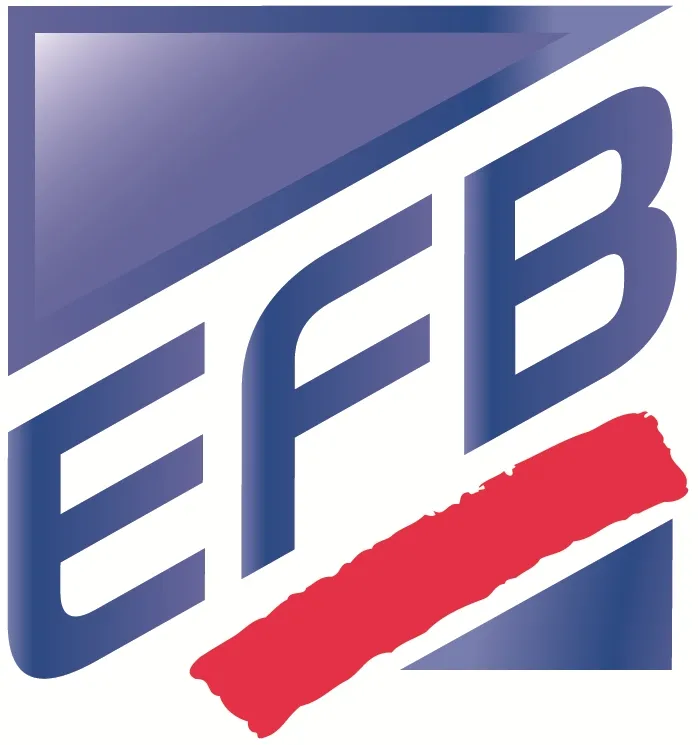 EFB BULLINGEN SA